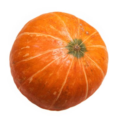 Taze sonbahar portakal kabağı beyaz arka planda izole. Cadılar Bayramı kutlama geçmişi, sonbahar hasadı, minimalizm bayram dekorasyon şablonu. Üst görünüm, düz görünüm, kopyalama alanı