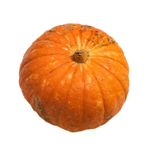 Färsk Höst Orange Pumpa Isolerad Vit Bakgrund Begreppet Halloween Firande — Stockfoto