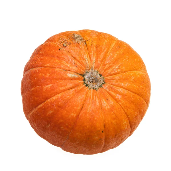 白い背景に隔離された新鮮な秋のオレンジ色のカボチャ コンセプト ハロウィーンのお祝いの背景 秋の収穫 ミニマリズムの休日の装飾のテンプレート トップビュー フラットレイ コピースペース — ストック写真