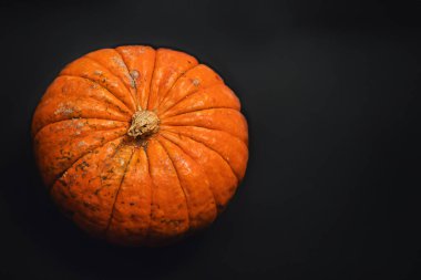 Siyah arka planda olgun, turuncu bir sonbahar balkabağı. Cadılar Bayramı kutlama geçmişi, sonbahar hasadı, minimalizm bayram dekorasyon şablonu. Üst görünüm, düz görünüm, kopyalama alanı 