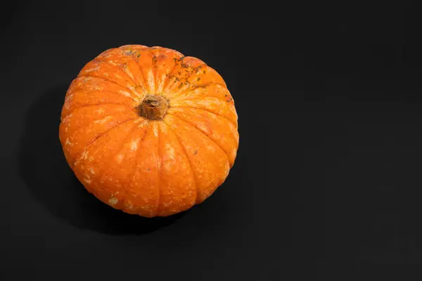 One Ripe Beautiful Orange Autumn Pumpkin Black Background Concept Halloween — Stock Photo, Image