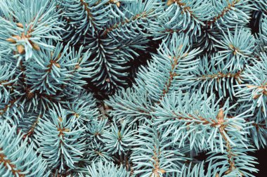 kar alanı yüzeyi desenli