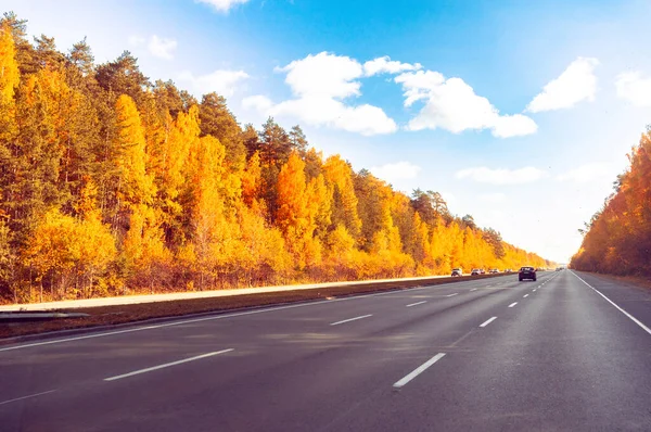 美丽的秋天风景 很少的汽车 公路在秋天的一天 柏油路穿过金秋针叶树的天空 免版税图库图片