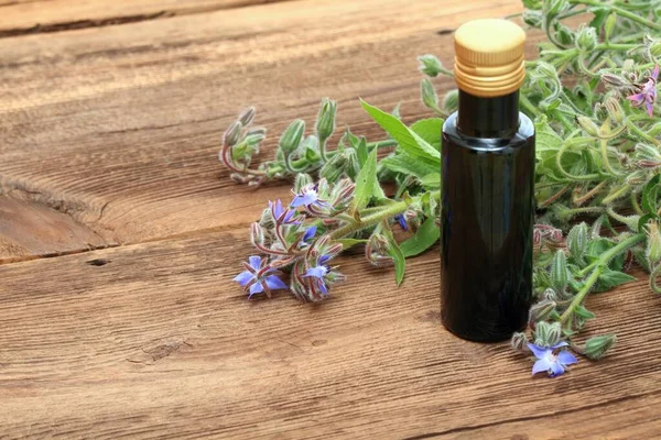Borago Officinalis Seed Oil Bottle Also Known Starflower Medicinal Oil — Stock Photo, Image