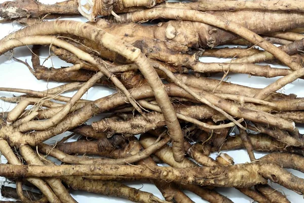 Fresh dandelion roots, lat.Taraxacum officinale on white. Very good for detoxification and healthy liver.  Flat lay.
