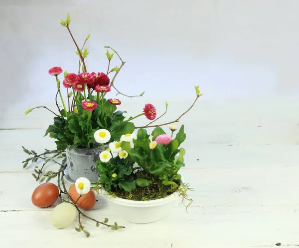 复活节背景与复活节蛋和粉红色 白色和红色菊花 白色桌子上的春季装饰 复制空间 — 图库照片
