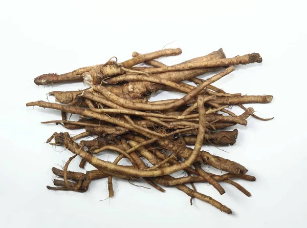 Fresh Dandelion Roots Lat Taraxacum Officinale White Traditional Medicine Very — Stock Photo, Image