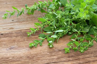 Nane şekerinden taze yapraklar, Melissa officinalis, ahşap masada. Yapraklar bitki olarak kullanılır, çaylarda ve tatlandırıcı olarak..