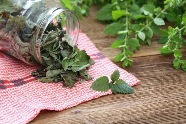 Dried Leaves Mint Balm Melissa Officinalis Glass Fresh Ones Back — Stock Photo, Image
