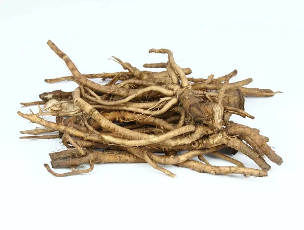 Fresh Dandelion Roots Lat Taraxacum Officinale White Very Good Detoxification — Stock Photo, Image