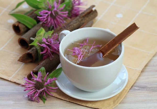 Cup Herbal Tea Monarda Didyma Flower Head Leaves Sweet Smelling — Stock Photo, Image
