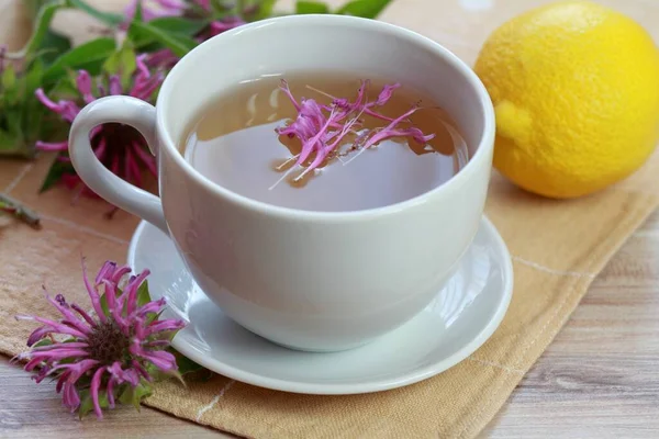 Cup Herbal Tea Monarda Didyma Flower Head Leaves Sweet Smelling — Stock Photo, Image