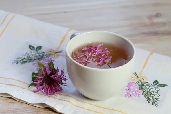 Травяной Чай Monarda Didyma Называемый Бергамотом Пчелиным Бальзамом Сладкий Запах — стоковое фото