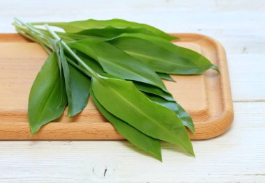 Köy ahşap doğrama tahtasında taze ayı sarımsağı yaprakları. Yaban sarımsağı. Allium ursinum, sağlıklı bahar yenilebilir bitkisi..
