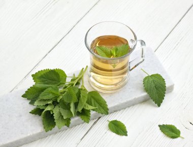 Melissa officinalis bitkisinden bir bardak taze çay, genel olarak merhem ya da Melissa olarak bilinir. Merhem çayı sinirleri yatıştırmak ve geleneksel ilaçlarda iyi uyumak için kullanılır. . 