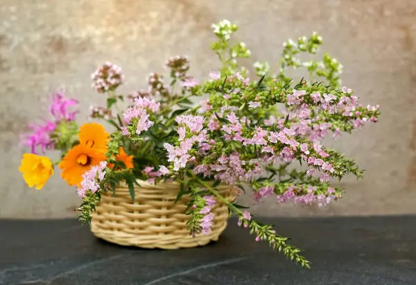 stock image Fresh aromatic herbs in a basket on stone. Greek and common oregano, pink hyssop Hyssopus officinalis, Calendula officinalis and flower heads of Monarda didyma, with culinary and medicinal uses. 