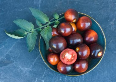 İndigo Rose 'un siyah domatesleri taş masadaki kasede. Bu doğal form anthocyanin açısından zengin siyah kabuk ve sağlığımız için iyi..