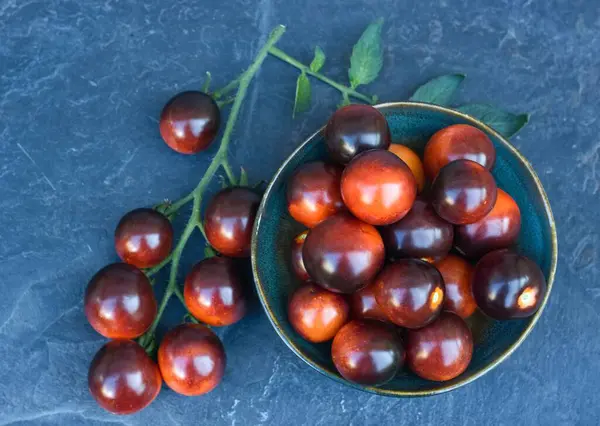 stock image Black tomatoes of Indigo Rose in a bowl on the stone table. This natural form is rich in anthocyanin in black peel and good for our health.