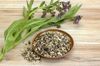 Dried roots of comfrey, lat. Symphytum officinale, and fresh plant on wood table. Pieces of root prepared for making an ointment,  traditional herbal medicine. clipart