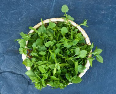Yavru ot, Lat. Stellaria medyası taş masada bir kase içinde. Yemek olarak ve geleneksel tıpta iyi cilt için kullanılır. Düz yatıyordu.