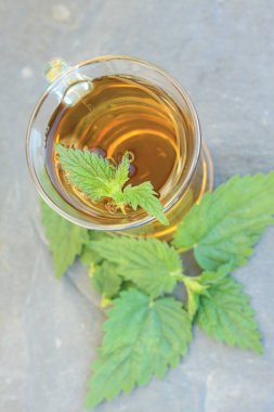 Isırgan otu çayı Urtica dioica 'dan yapılır. Taze ısırgan otu yapraklı bitki çayı. .