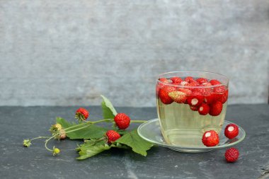 Taşın üzerindeki yabani Alp çileklerinden yapılmış bitki çayı. Çayın tepesinde taze taze Alp çilekleri Fragaria vesca.  