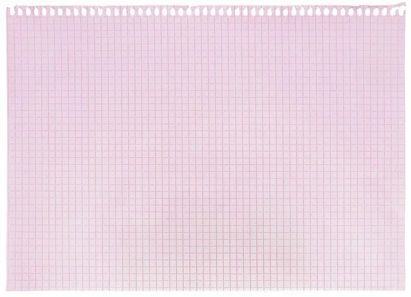 チェックスパイラルノートブックページの背景 古いピンクのチェックリングバインダーシートフラットレイA4コピースペース 水平方程式パターン数学ノートパッド 引き裂かれた隔離された空のブロックノートペーパークローズアップ 学校の概念メタファー大マクロ — ストック写真