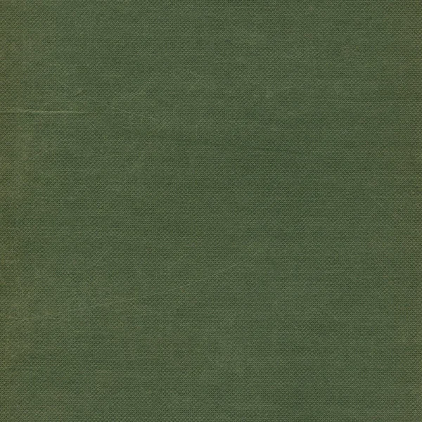 Natürliche Dunkelolivgrüne Calico Baumwollgewebe Swatch Horizontal Blasse Rustikale Faser Pastell — Stockfoto