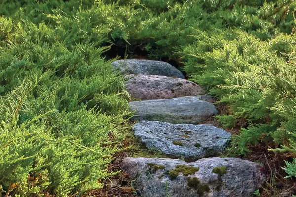 石段の道の道のステップ 灰色および赤い多彩な花崗岩の岩の階段の舗装道は晴れた夏の庭 大きい細部の横のジャンパー成長の足パターン閉鎖します ストックフォト