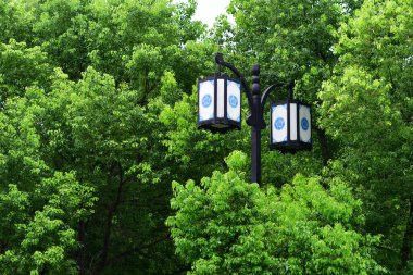 Geleneksel Çin tarzı sokak lambalarının fotoğrafı