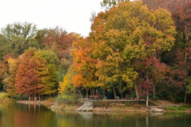 Göl Ormanı 'nın sonbaharda çekilmiş bir fotoğrafı.