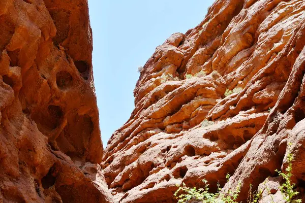 Fotoğraf: Danxia Landform Gansu Eyaleti, Çin