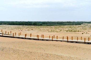 Çöldeki tahta kaldırımların fotoğrafı.