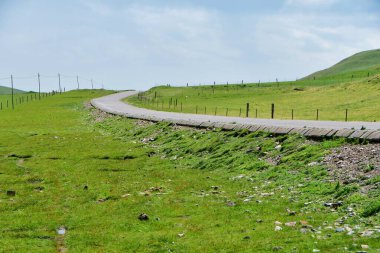 Alp otlakları vadisindeki bir yolun fotoğrafı.