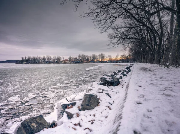 Winter Scene Aan Het Balatonmeer Hongarije Stockfoto