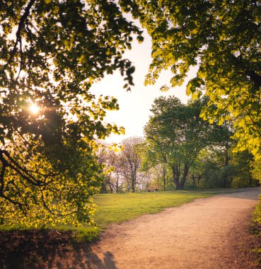 Normafa, Budapeşte 'de banklı yol