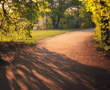 Normafa, Budapeşte 'de banklı yol
