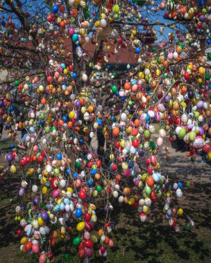 Hungarian easter eggs on trees in spring
