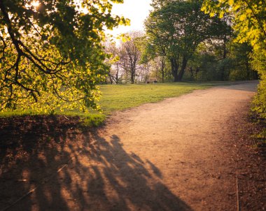 Normafa, Budapeşte 'de banklı yol