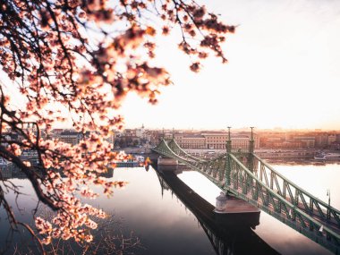 Macaristan, Budapeşte 'de badem çiçekli güzel Özgürlük Köprüsü