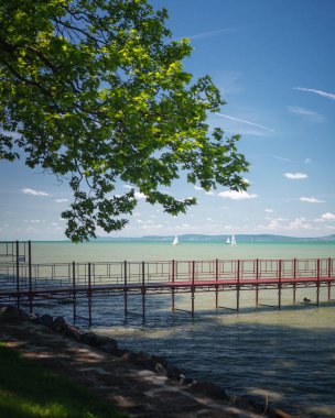 Balaton Gölü 'ndeki güzel ağaçların sabah fotoğrafı.