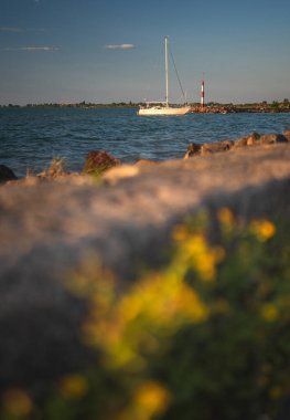 Macaristan, Balaton Gölü 'ndeki limanda yaz mevsiminde yelkenliler