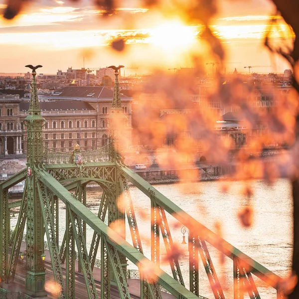 Prachtige Liberty Bridge Met Amandelbloesem Boedapest Hongarije — Stockfoto