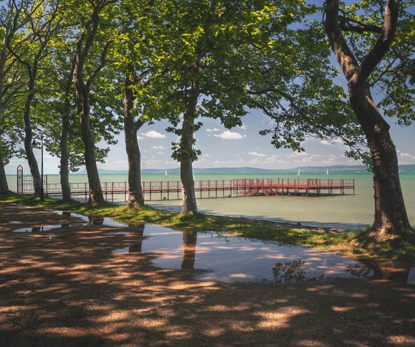 Ranní Fotografie Pěkných Stromů Jezera Balaton — Stock fotografie