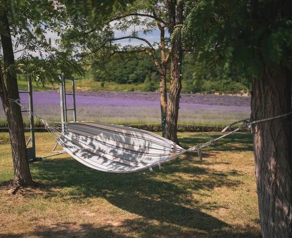 匈牙利美丽的薰衣草场前面的吊床 — 图库照片