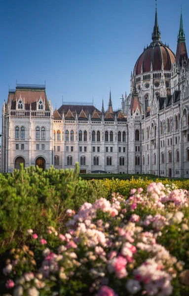 Çiçekleri Olan Ünlü Budapeşte Parlamentosu — Stok fotoğraf