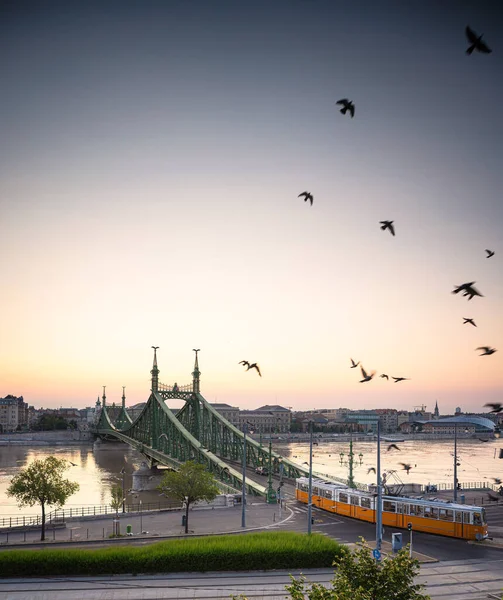 Słynny Most Budapesztu Most Wolności Lecie — Zdjęcie stockowe