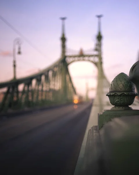 ブダペストの象徴的な橋 夏の自由の橋 — ストック写真