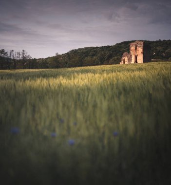 Talindrgd, Macaristan 'daki bir tapınağın ortaçağ kalıntıları