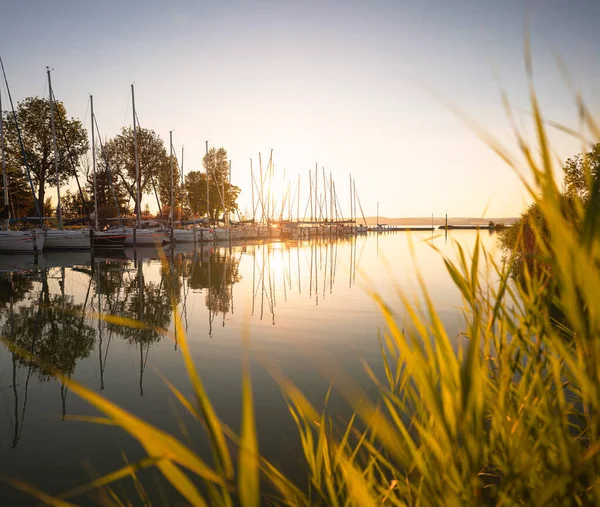 Balaton Καλοκαίρι Ωραίο Ηλιοβασίλεμα — Φωτογραφία Αρχείου